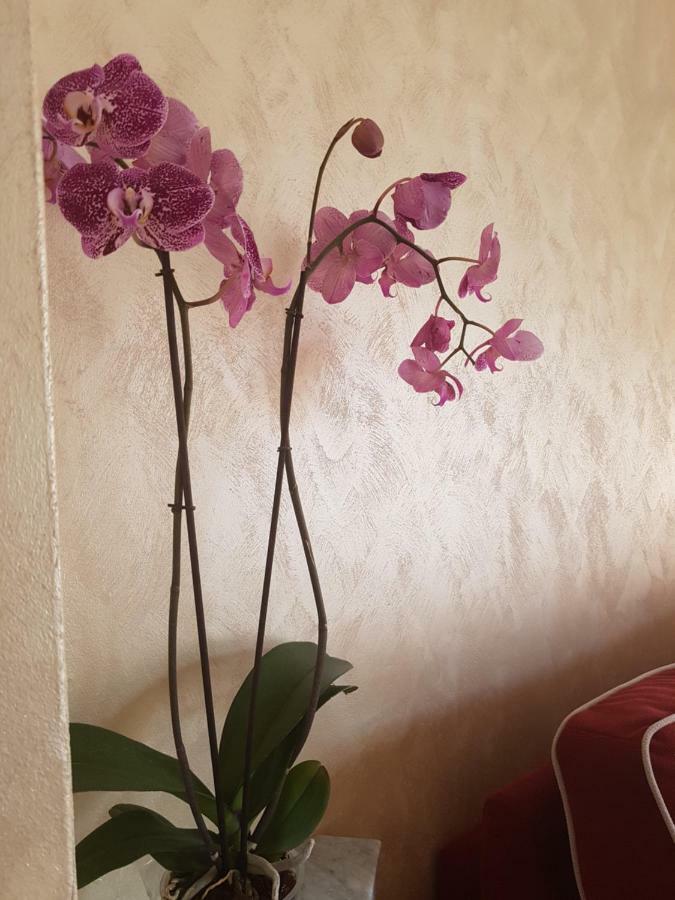 Casa Vacanza Nonna Dora Matera Extérieur photo